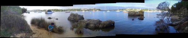 Panorama, Swan River shore, Bicton, Western Australia